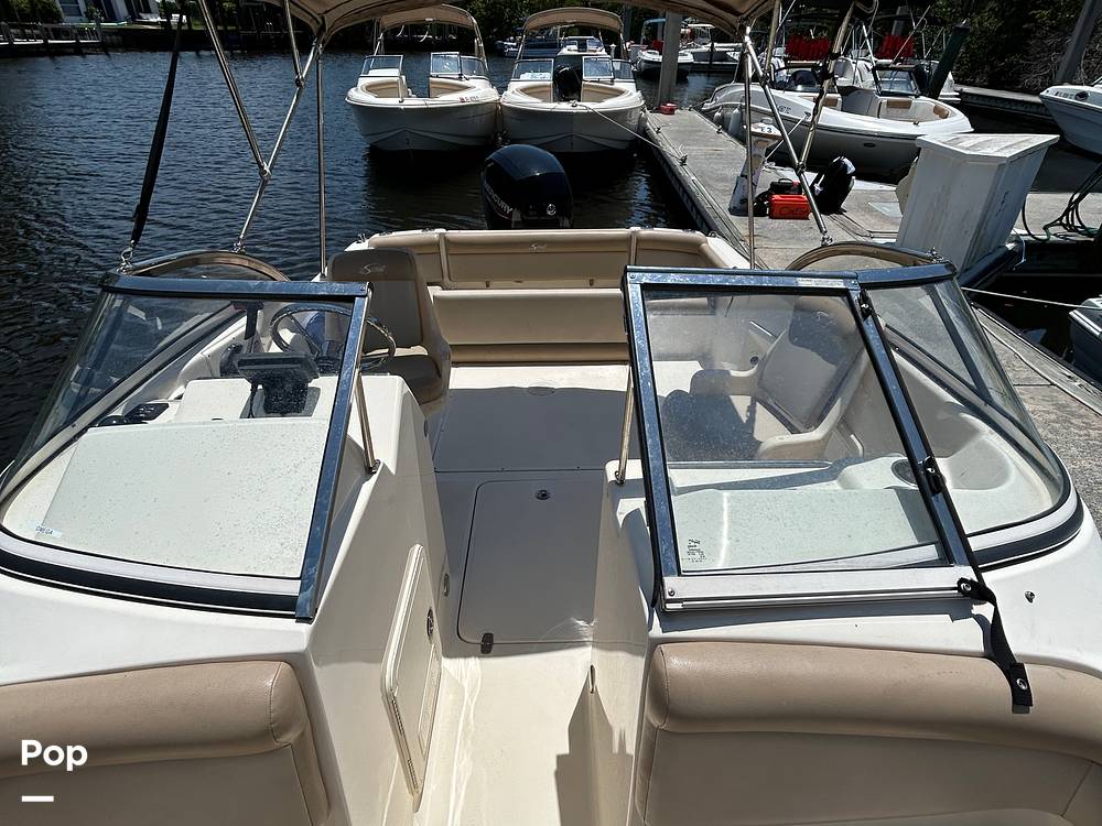 Slide: The Image of Scout 210 Dorado 2023 - 14276856