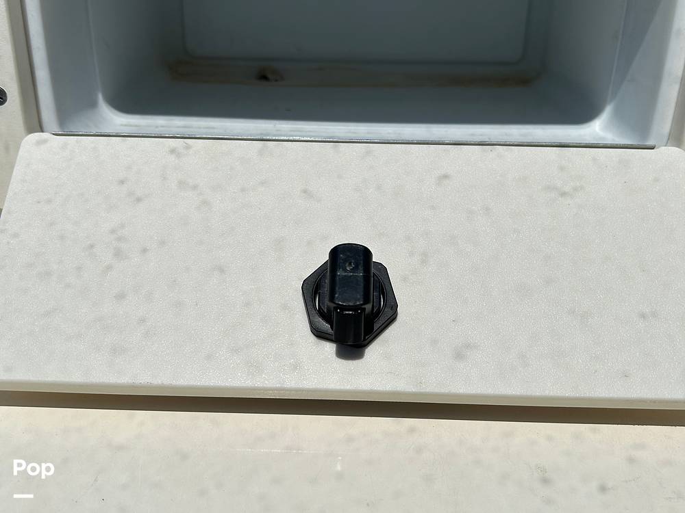Slide: The Image of Scout 210 Dorado 2023 - 14276861