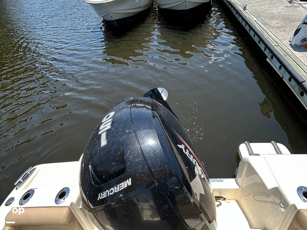 Slide: The Image of Scout 210 Dorado 2023 - 14276928
