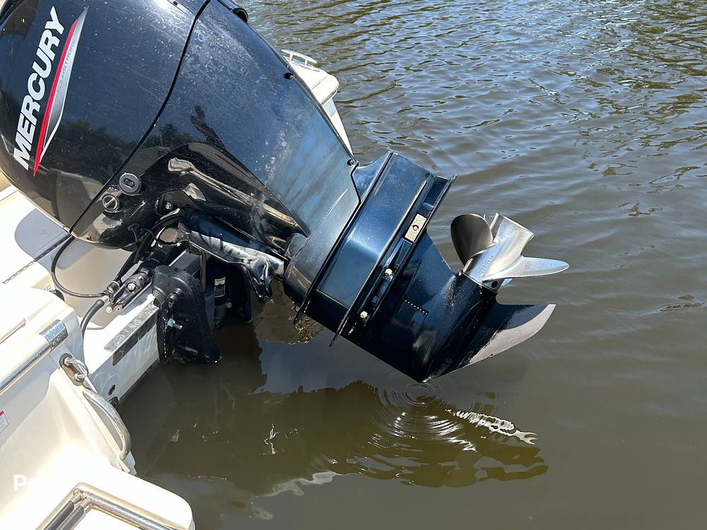 Slide: The Image of Scout 210 Dorado 2023 - 14276957