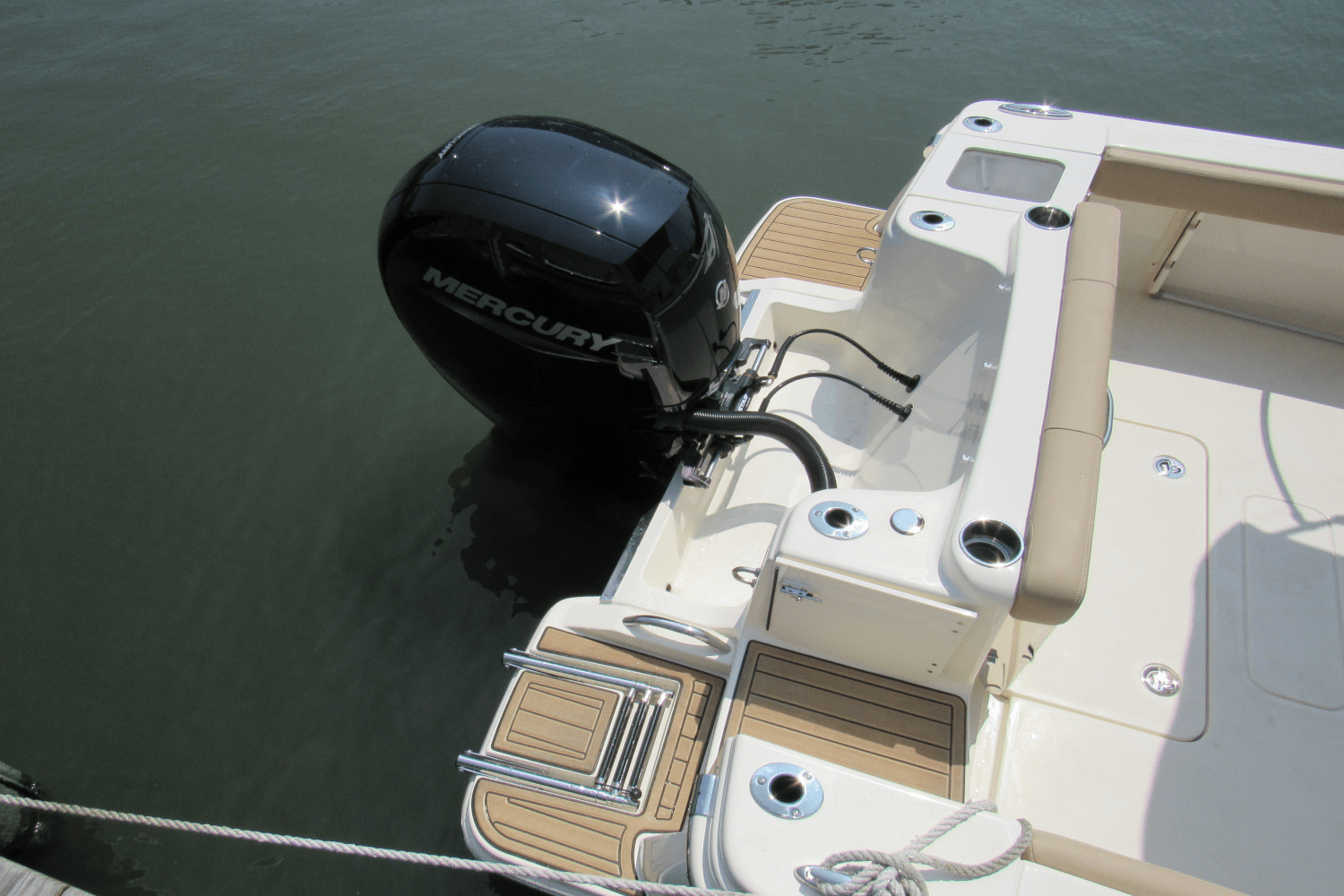 Slide: The Image of Scout 215 Dorado 2024 - 11