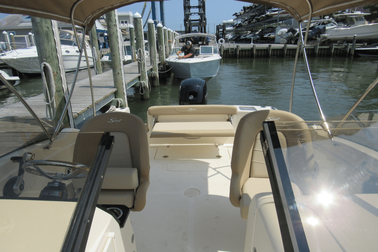 Slide: The Image of Scout 215 Dorado 2024 - 14