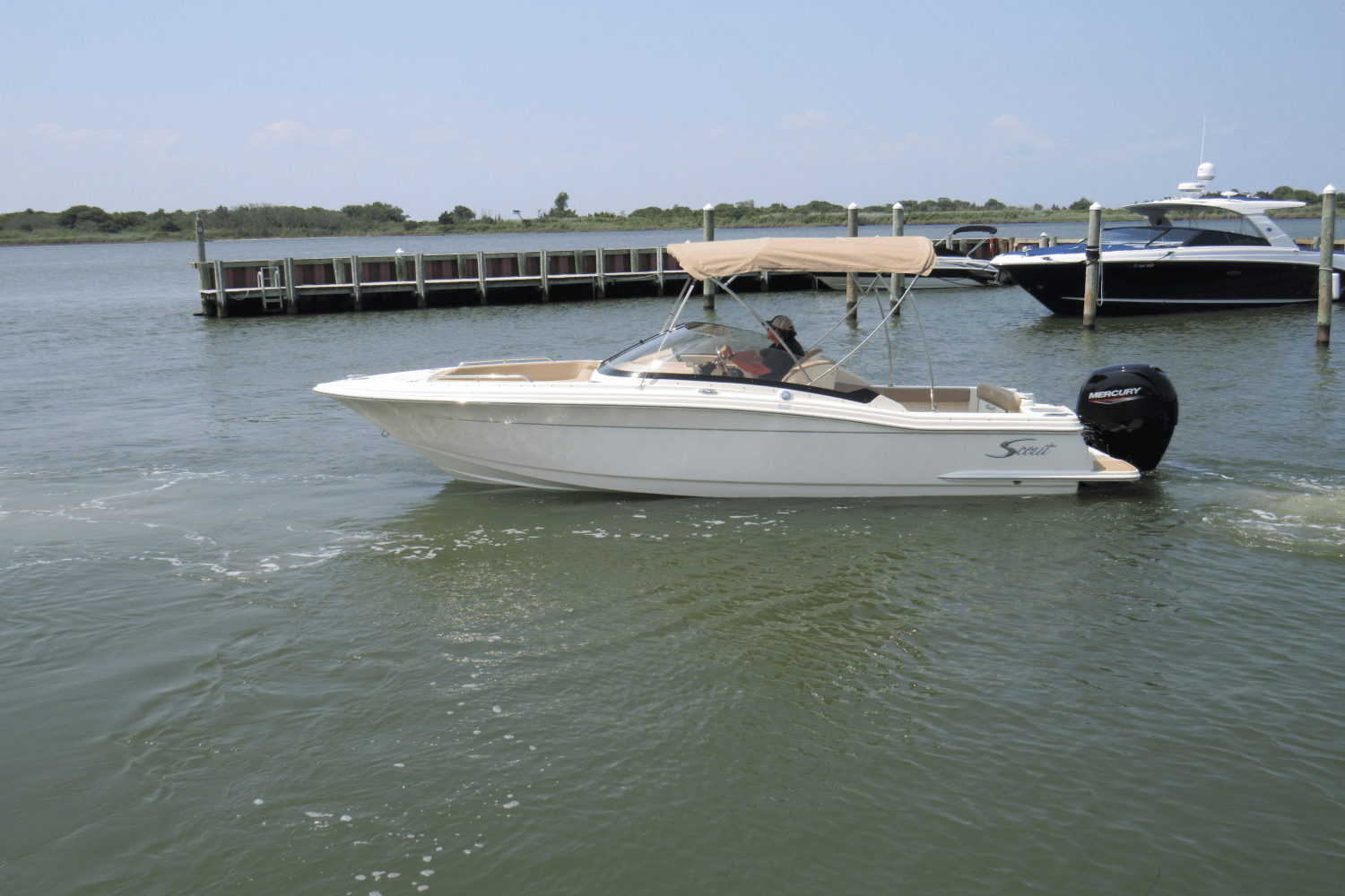 Slide: The Image of Scout 215 Dorado 2024 - 2