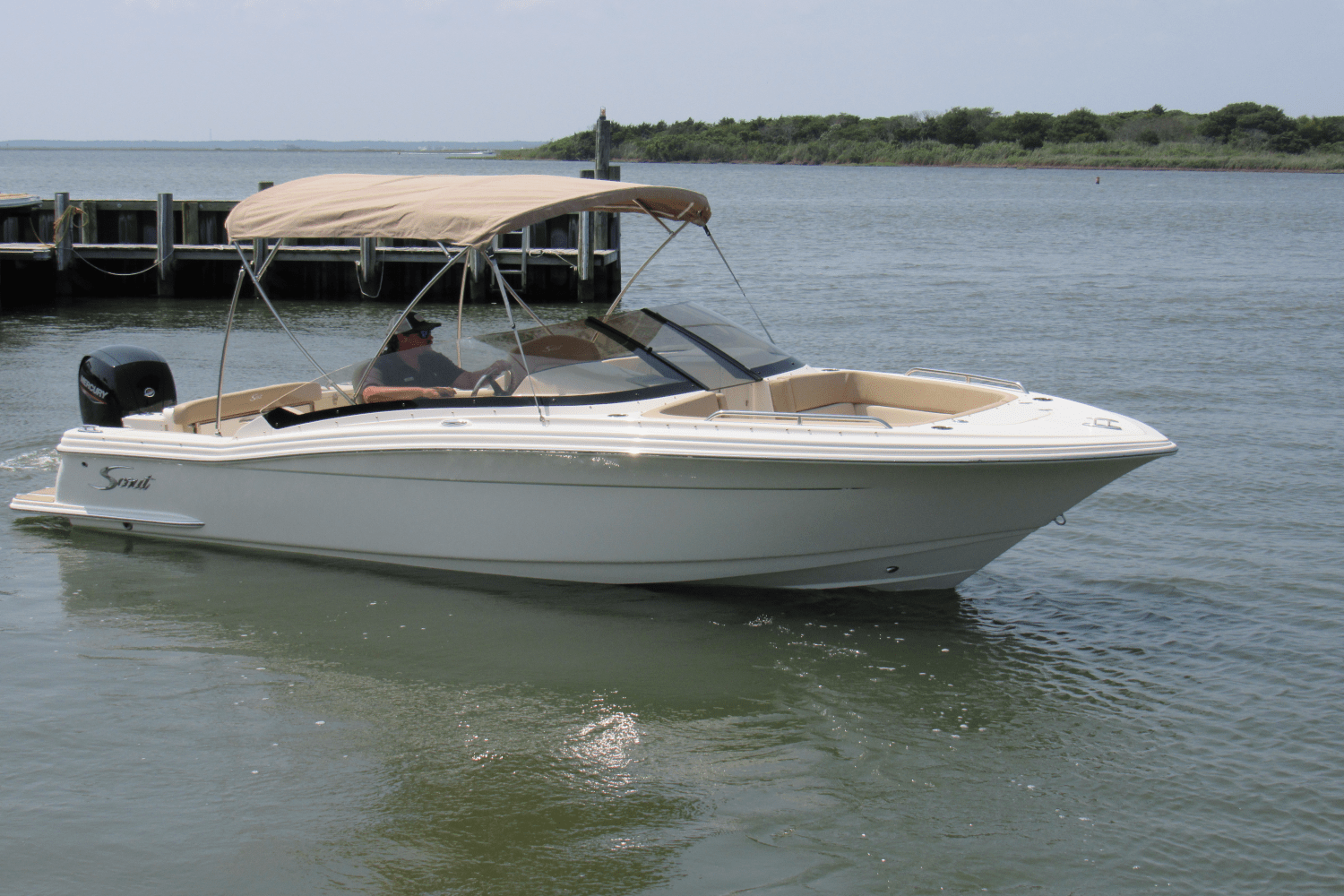 Slide: The Image of Scout 215 Dorado 2024 - 3