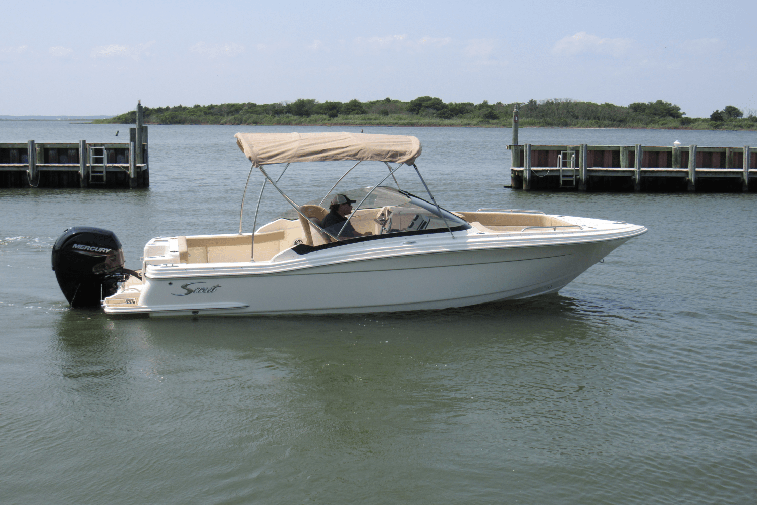 Slide: The Image of Scout 215 Dorado 2024 - 5