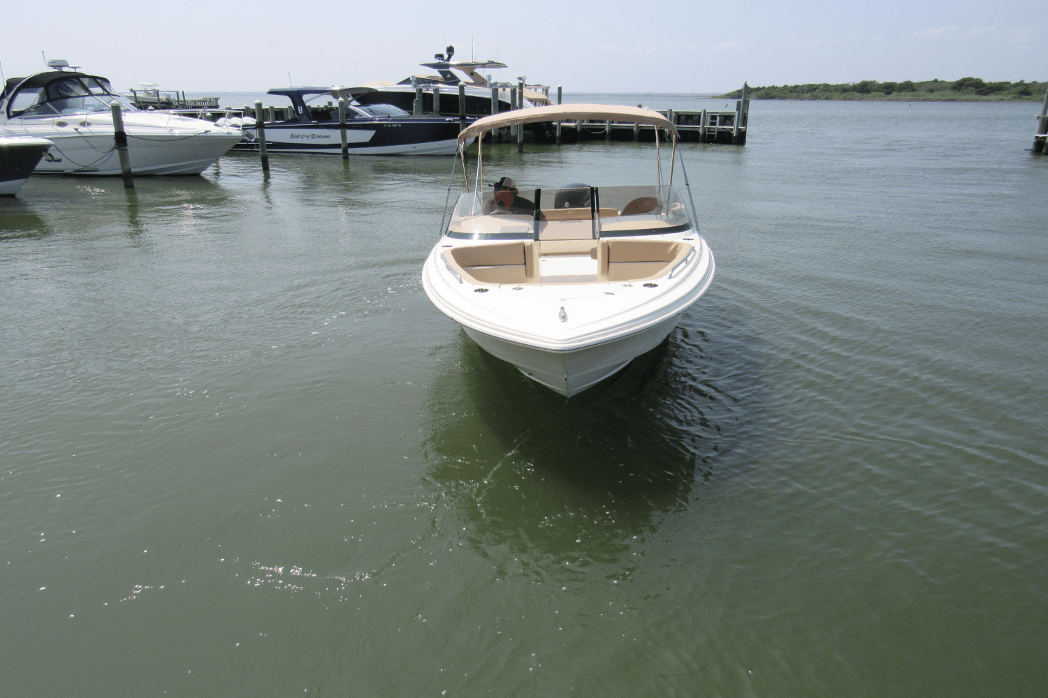 Slide: The Image of Scout 215 Dorado 2024 - 6