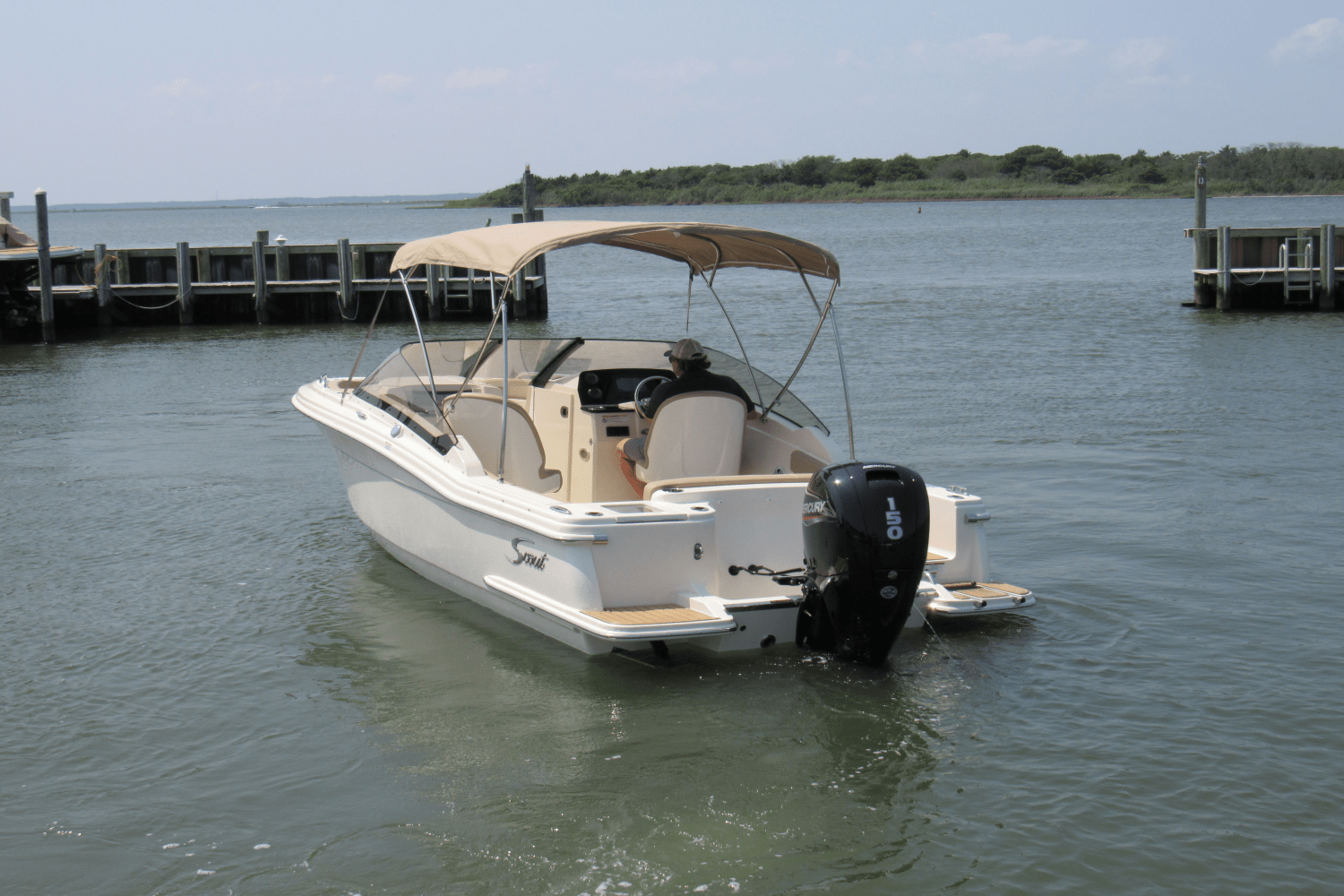 Slide: The Image of Scout 215 Dorado 2024 - 8