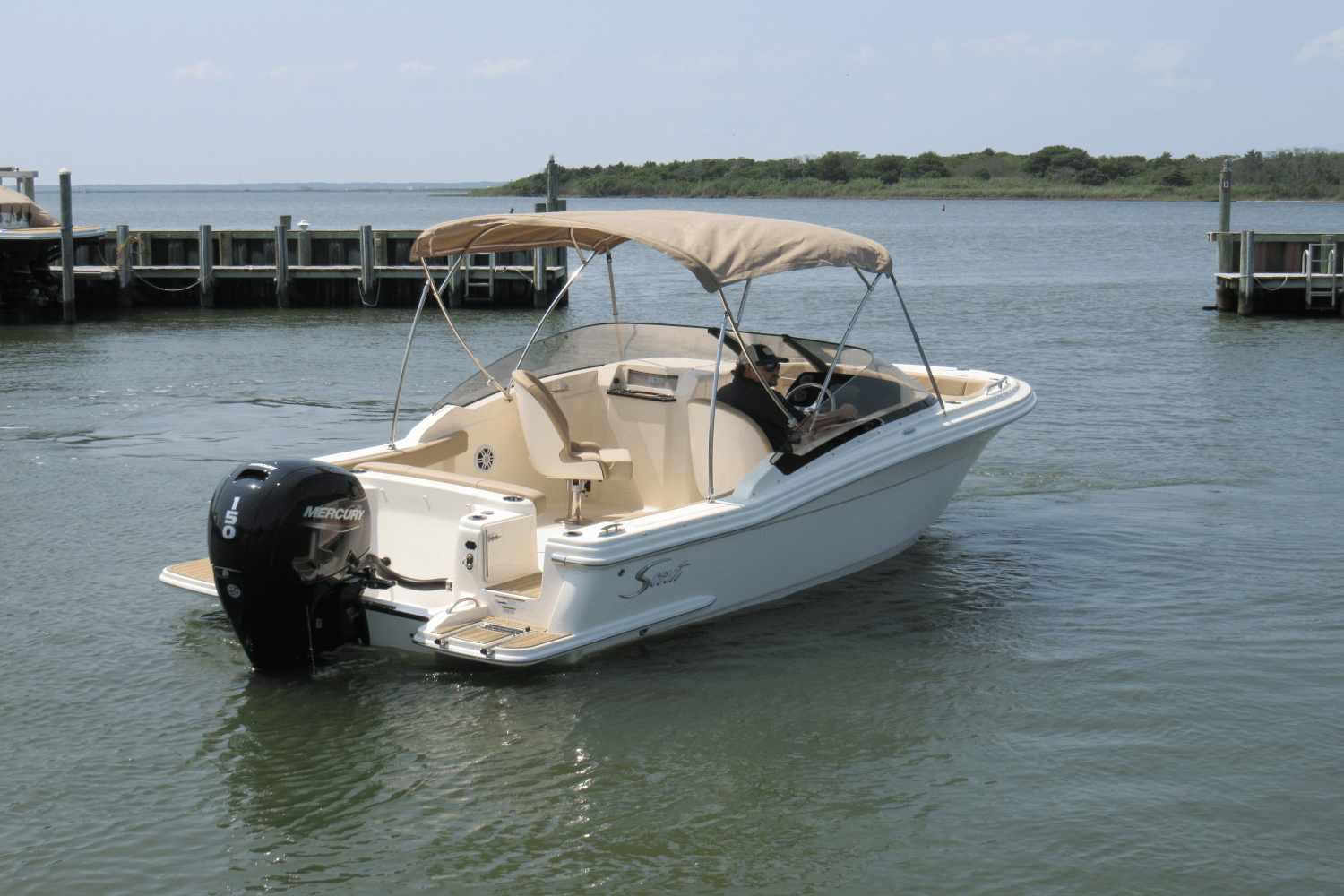 Slide: The Image of Scout 215 Dorado 2024 - 9