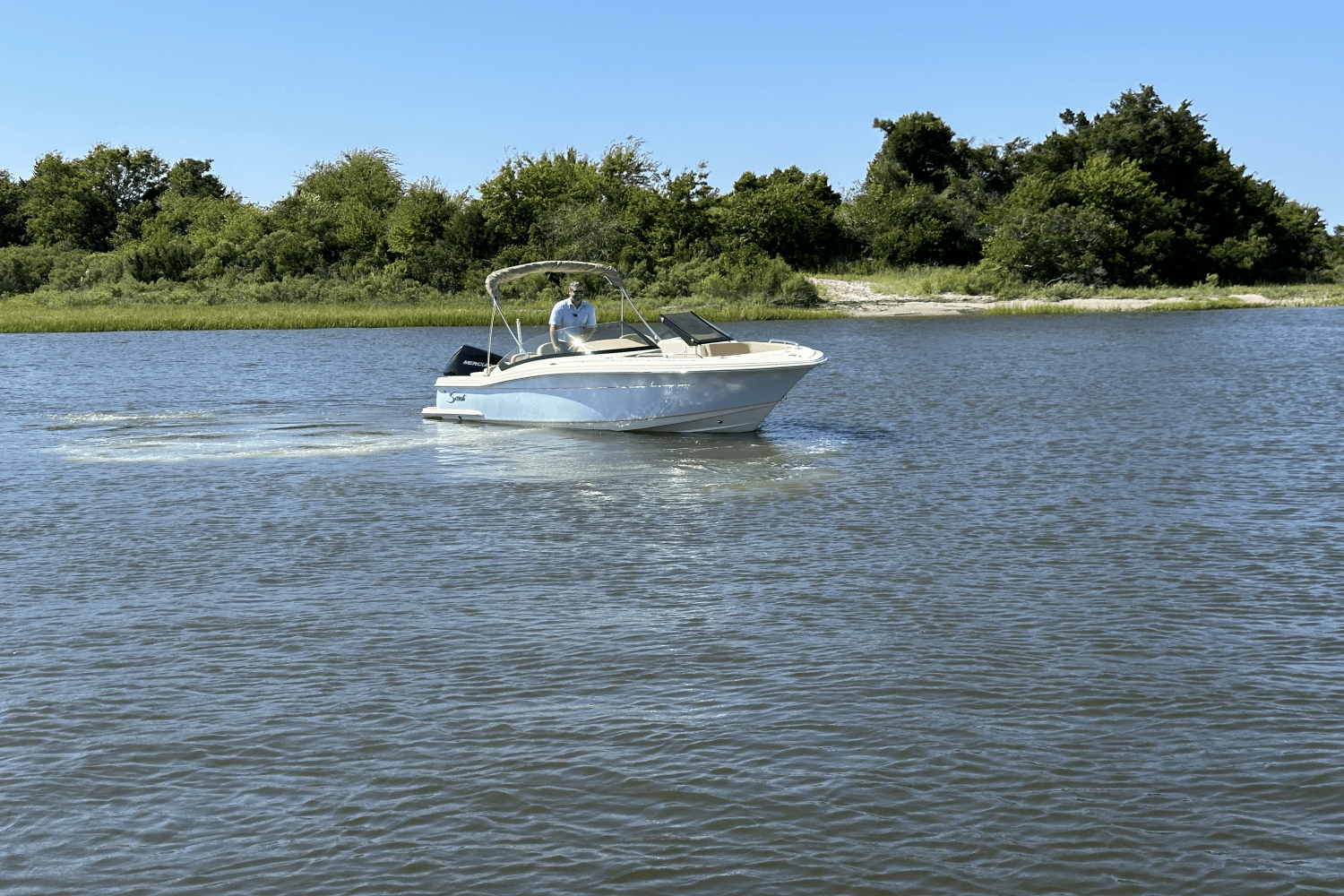 Slide: The Image of Scout 215 Dorado 2025 - 2