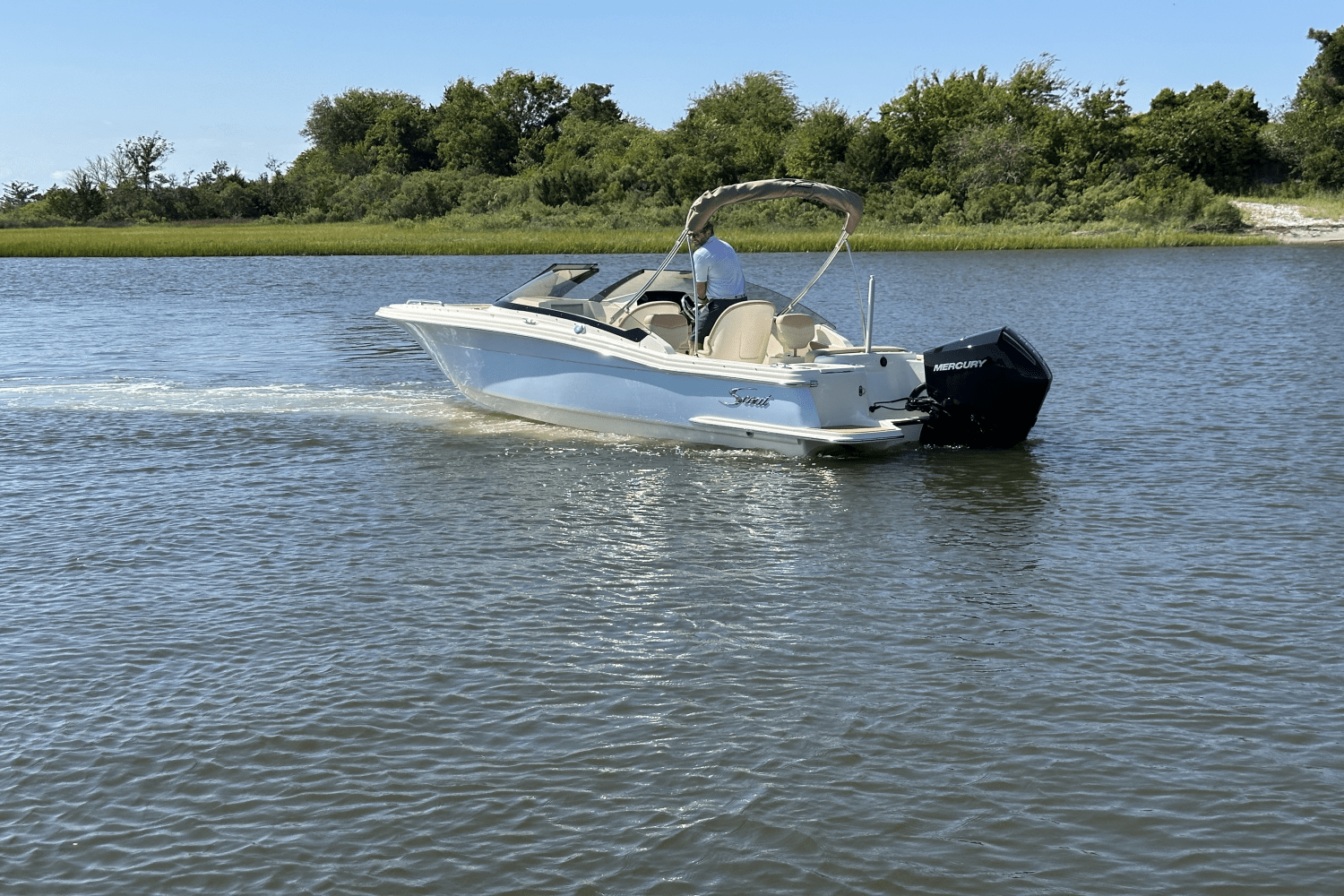 Slide: The Image of Scout 215 Dorado 2025 - 4