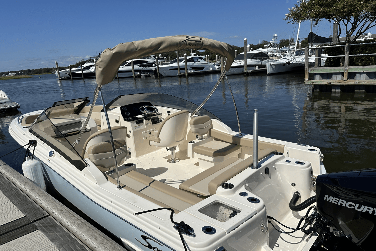 Slide: The Image of Scout 215 Dorado 2025 - 8