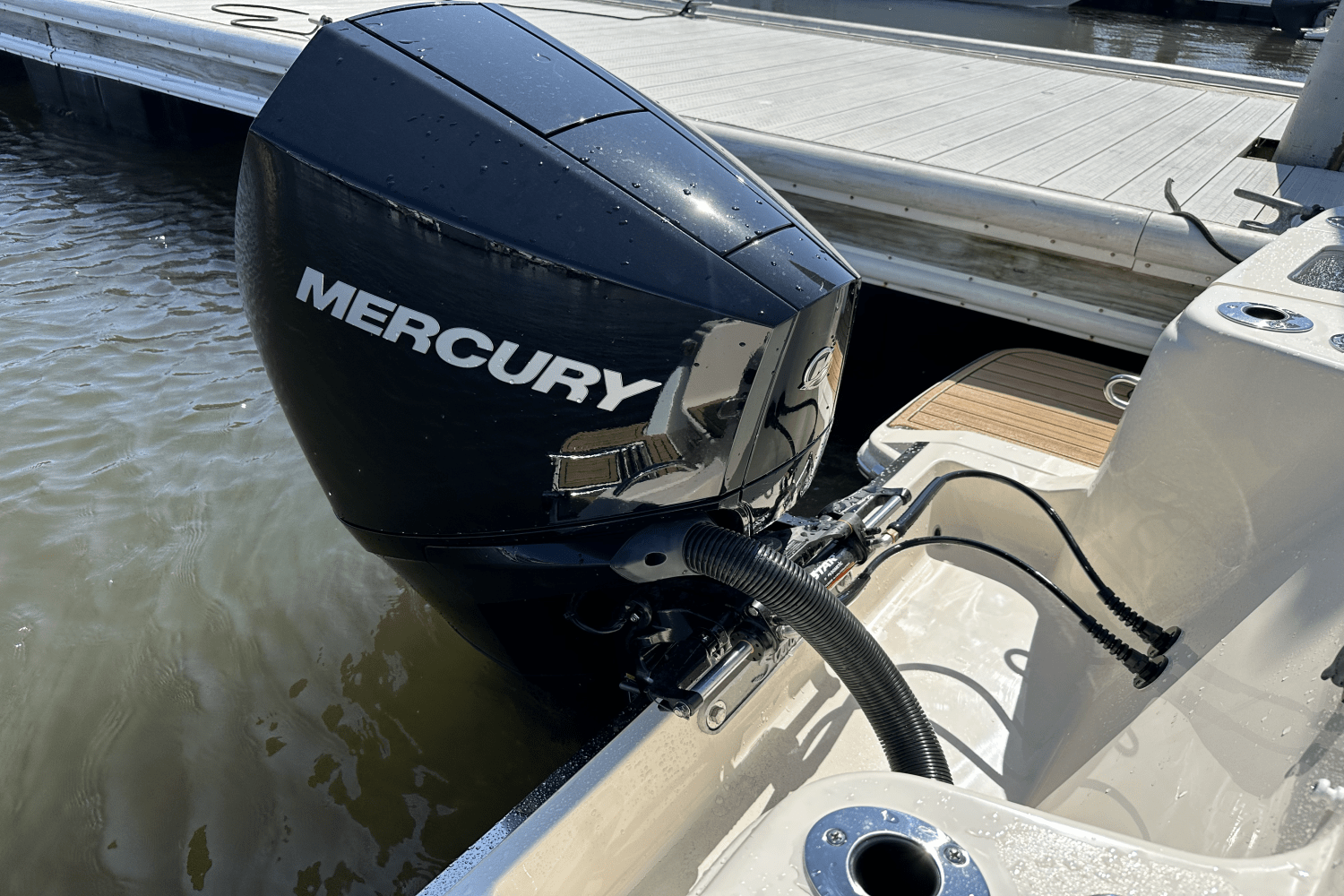 Slide: The Image of Scout 215 Dorado 2025 - 9