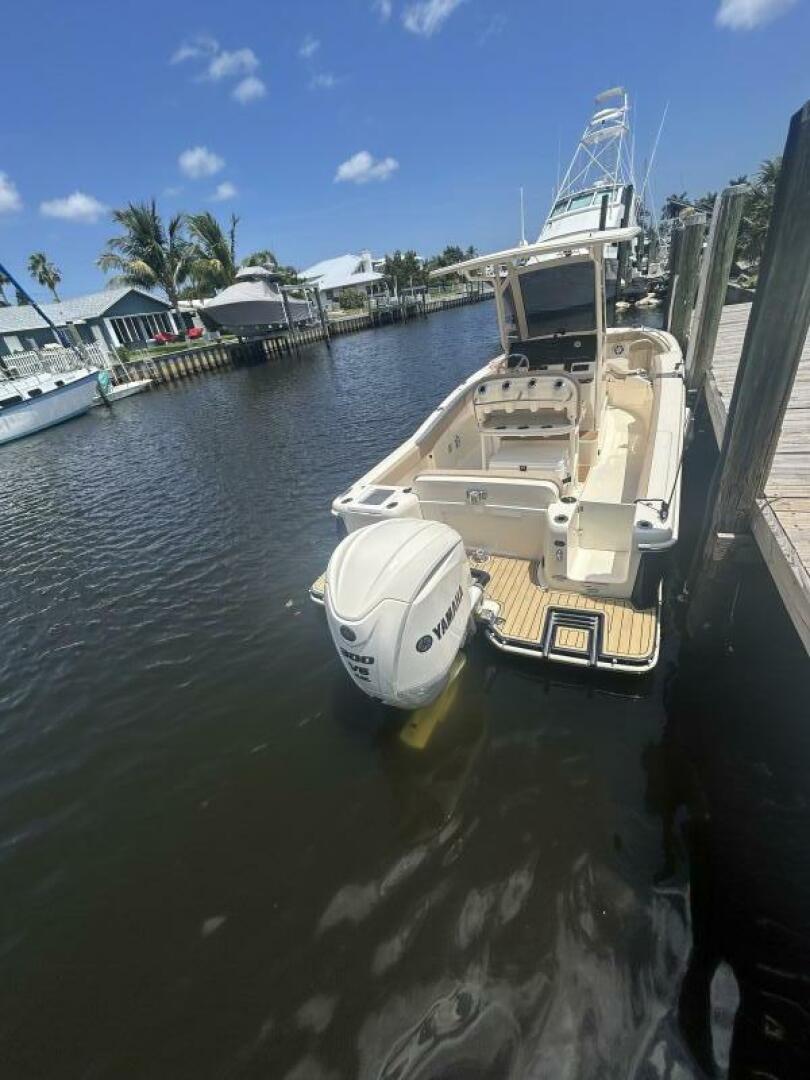 Slide: The Image of Scout 240XSF 2023 - 5248179