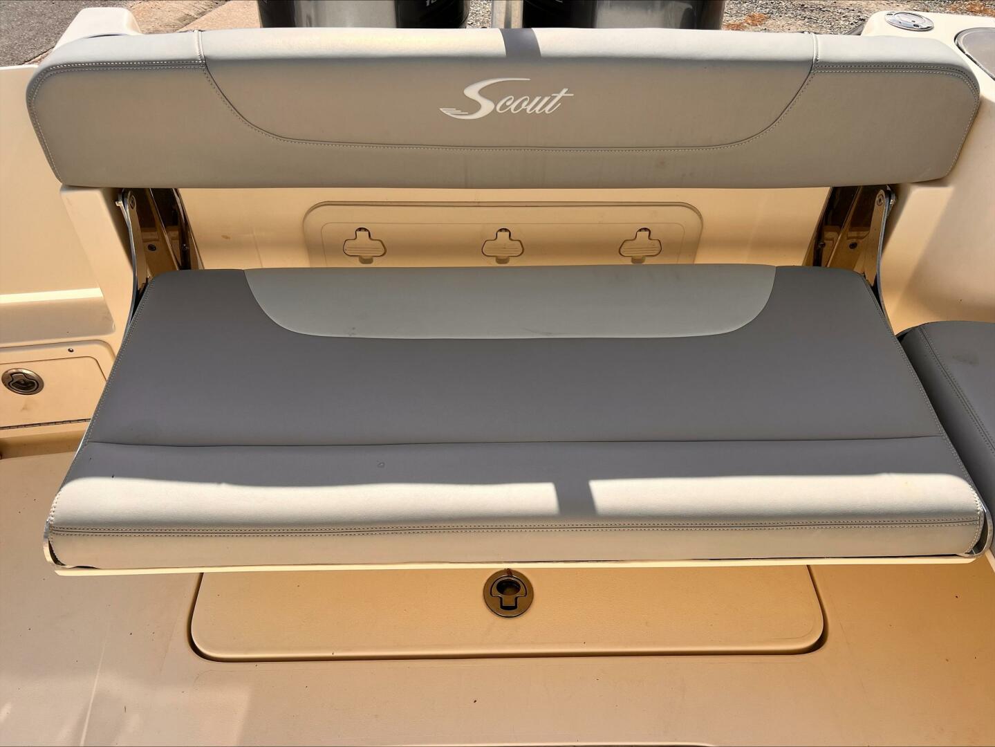 Slide: The Image of Scout 255 Dorado 2020 - 5164430