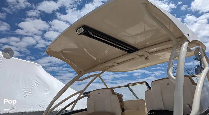 Slide: The Image of Scout 255 Dorado 2020 - 14964587