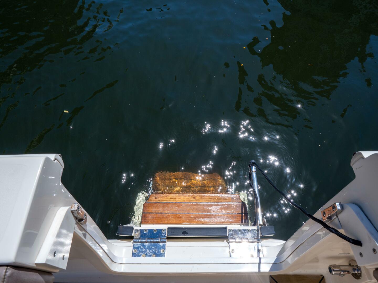 Slide: The Image of Scout 32 2015 - 5341320