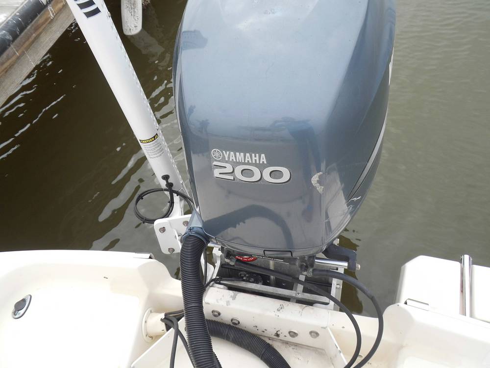Slide: The Image of Scout Bay Scout 2002 - 15143539