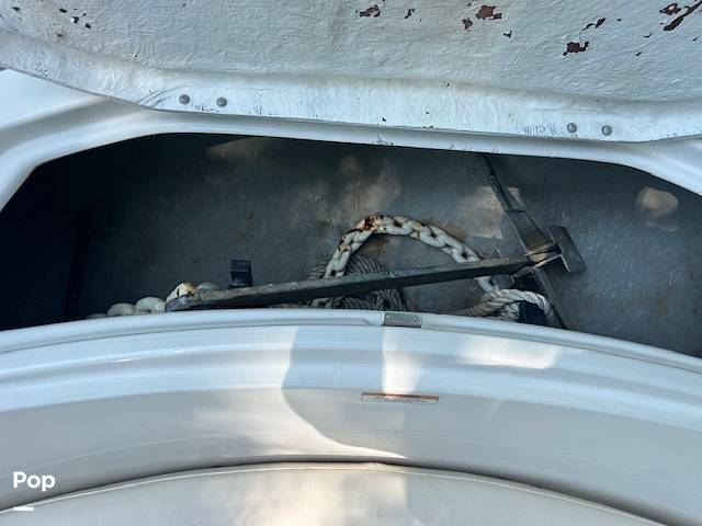 Slide: The Image of Sea-Doo Challenger 230 SE 2007 - 15554759