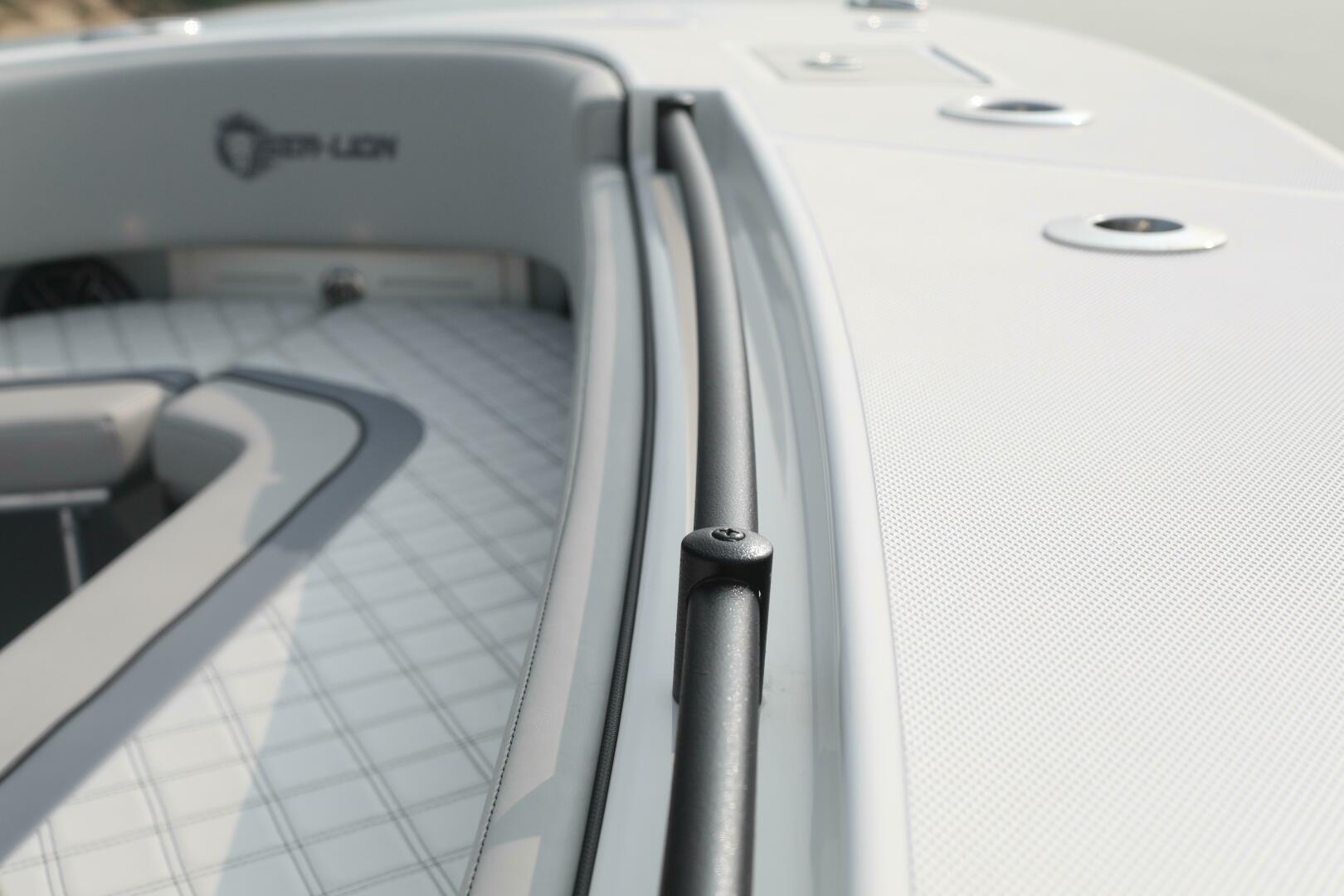 Slide: The Image of Sea-Lion 34 CC 2024 - 5013567