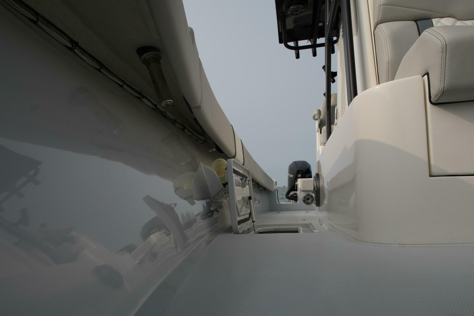 Slide: The Image of Sea-Lion 34 CC 2024 - 5013574