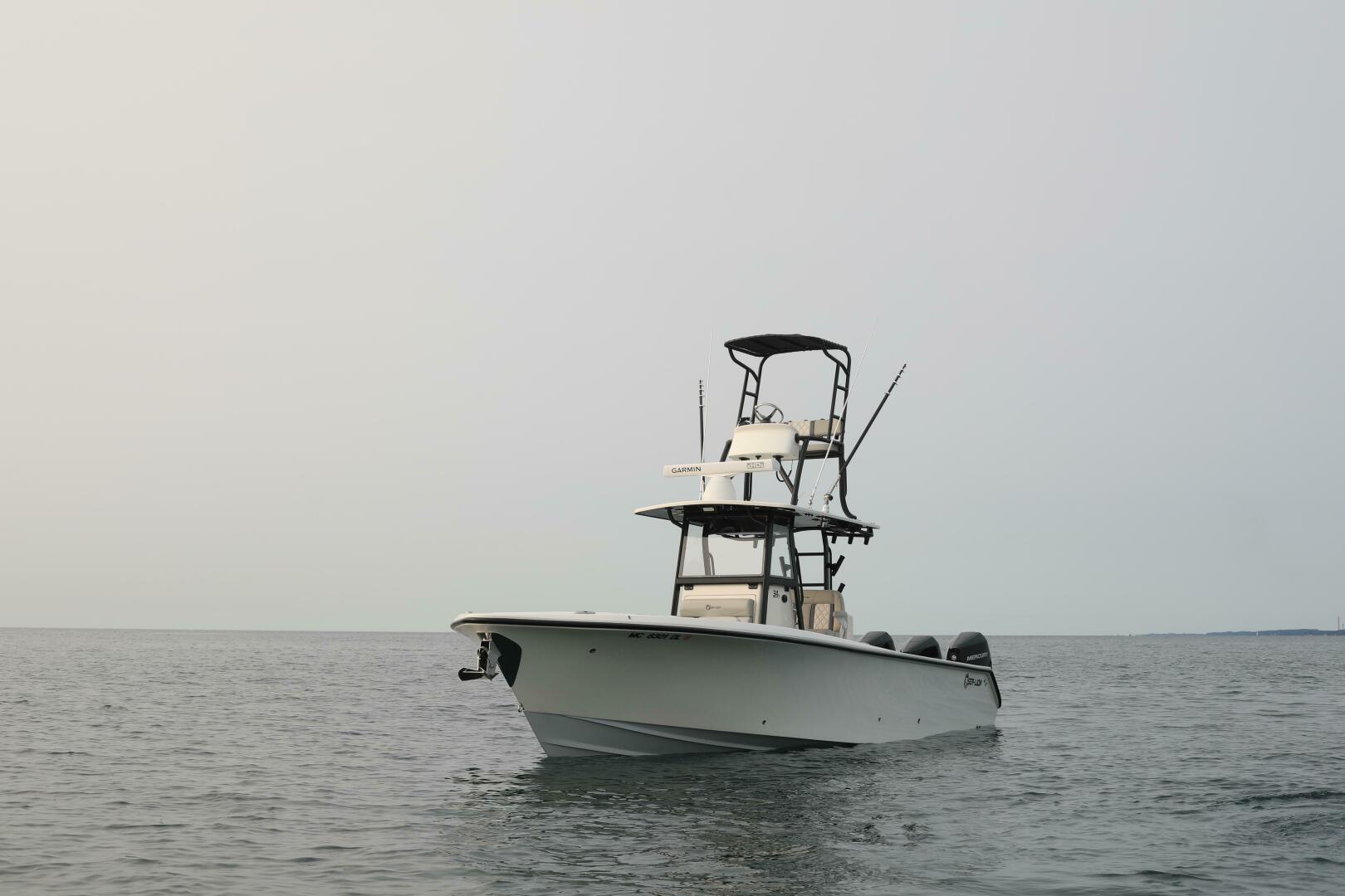 Slide: The Image of Sea-Lion 34 CC 2024 - 5013577
