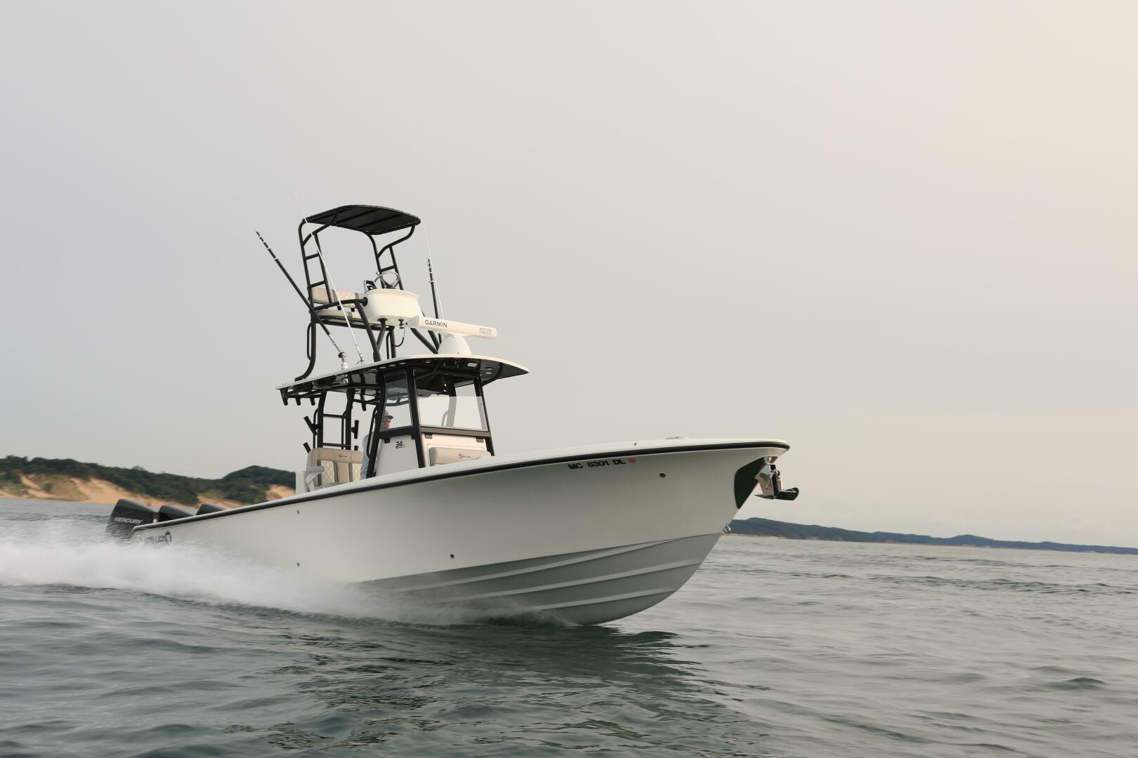 Slide: The Image of Sea-Lion 34 CC 2024 - 5013583