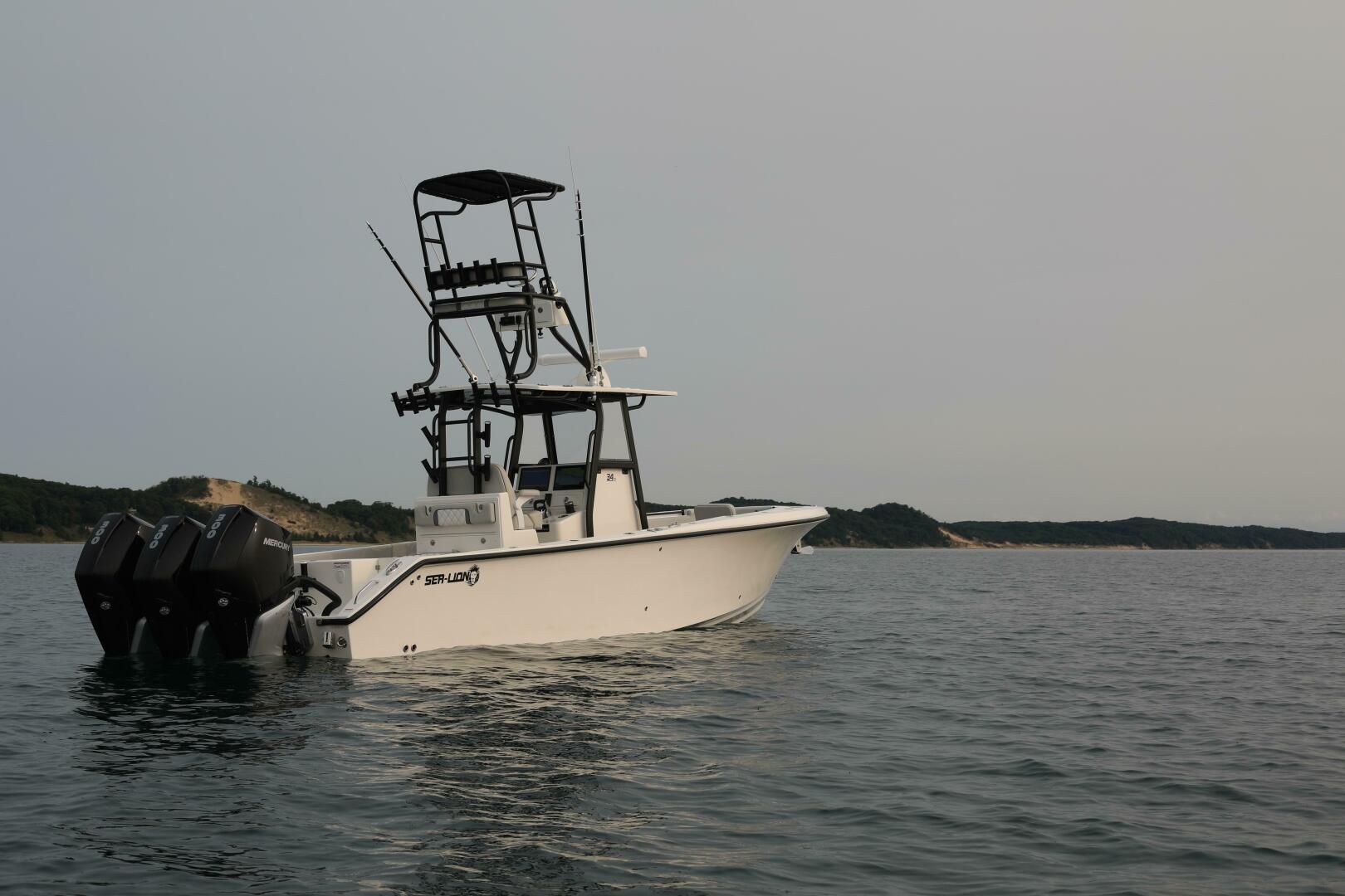 Slide: The Image of Sea-Lion 34 CC 2024 - 5013608