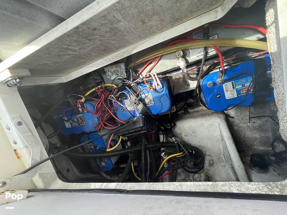 Slide: The Image of Sea Born LX22 2017 - 15312923