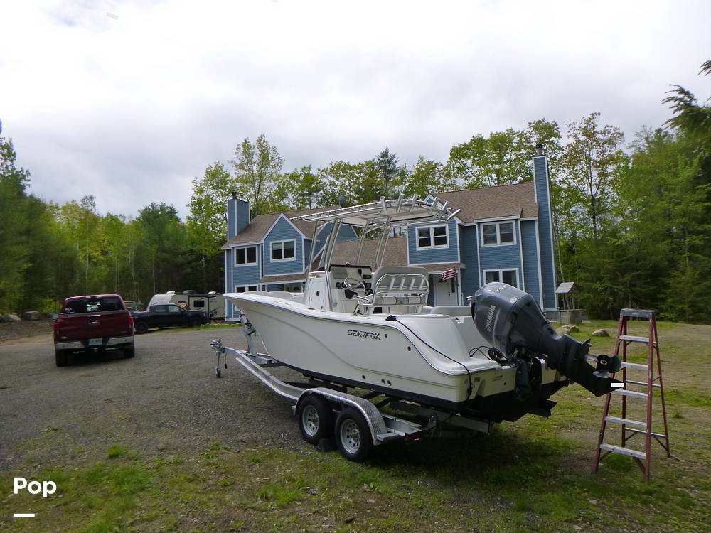 Slide: The Image of Sea Fox 228 Commander 2019 - 15510334