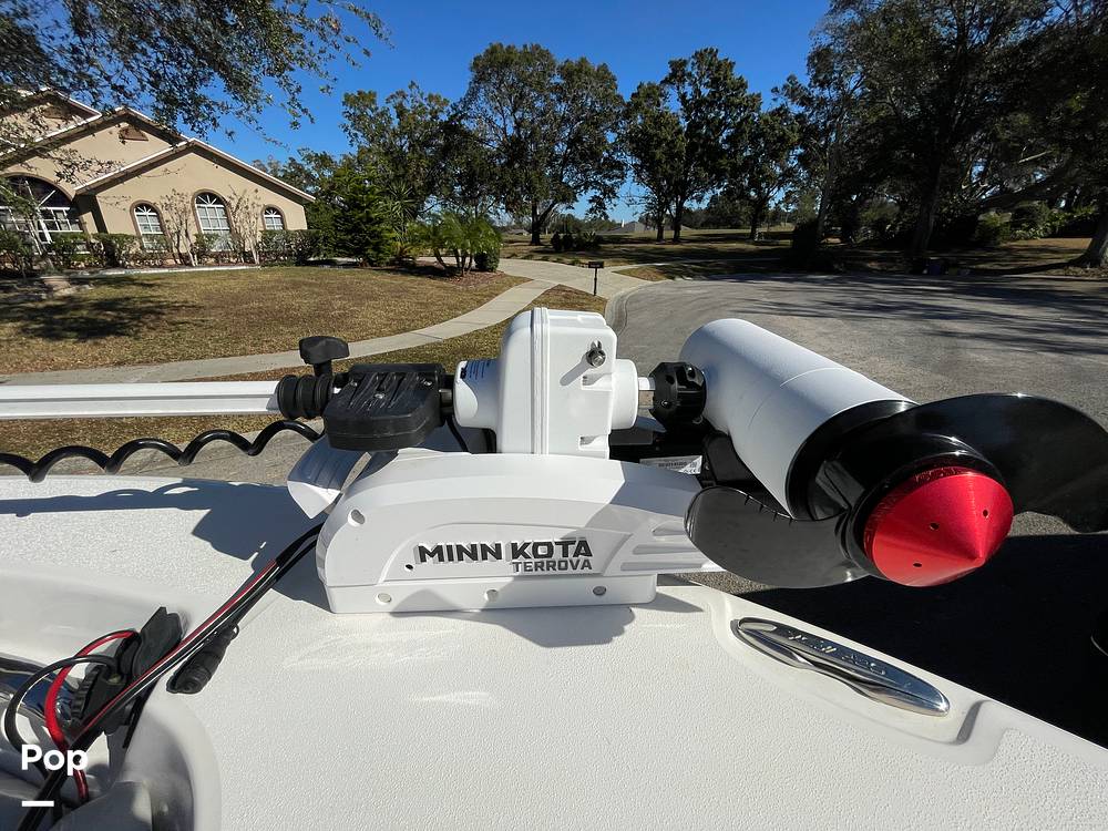 Slide: The Image of Sea Fox 228 Commander 2021 - 14974056