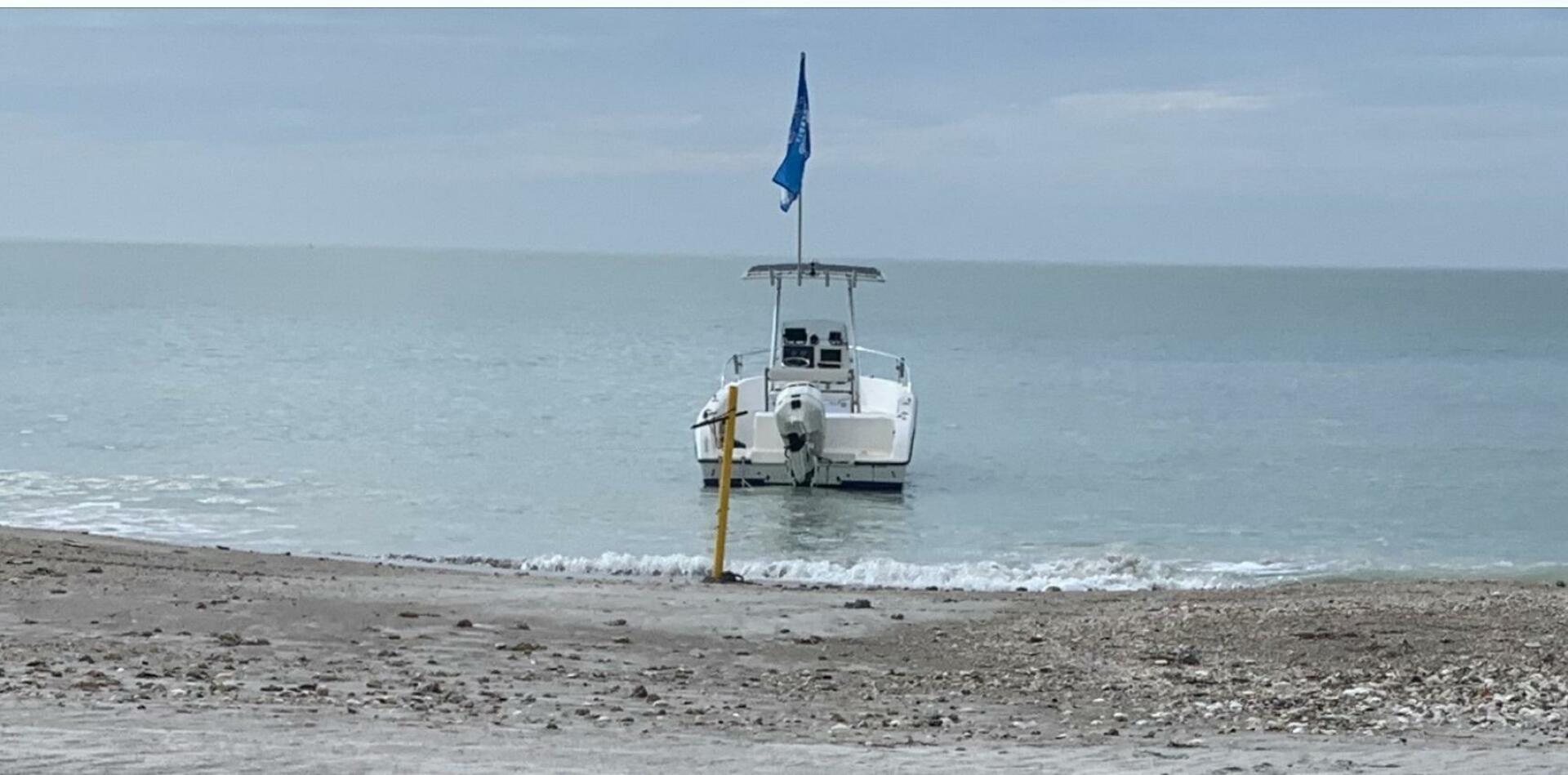 Slide: The Image of Sea Fox 230 CC 2001 - 4826555