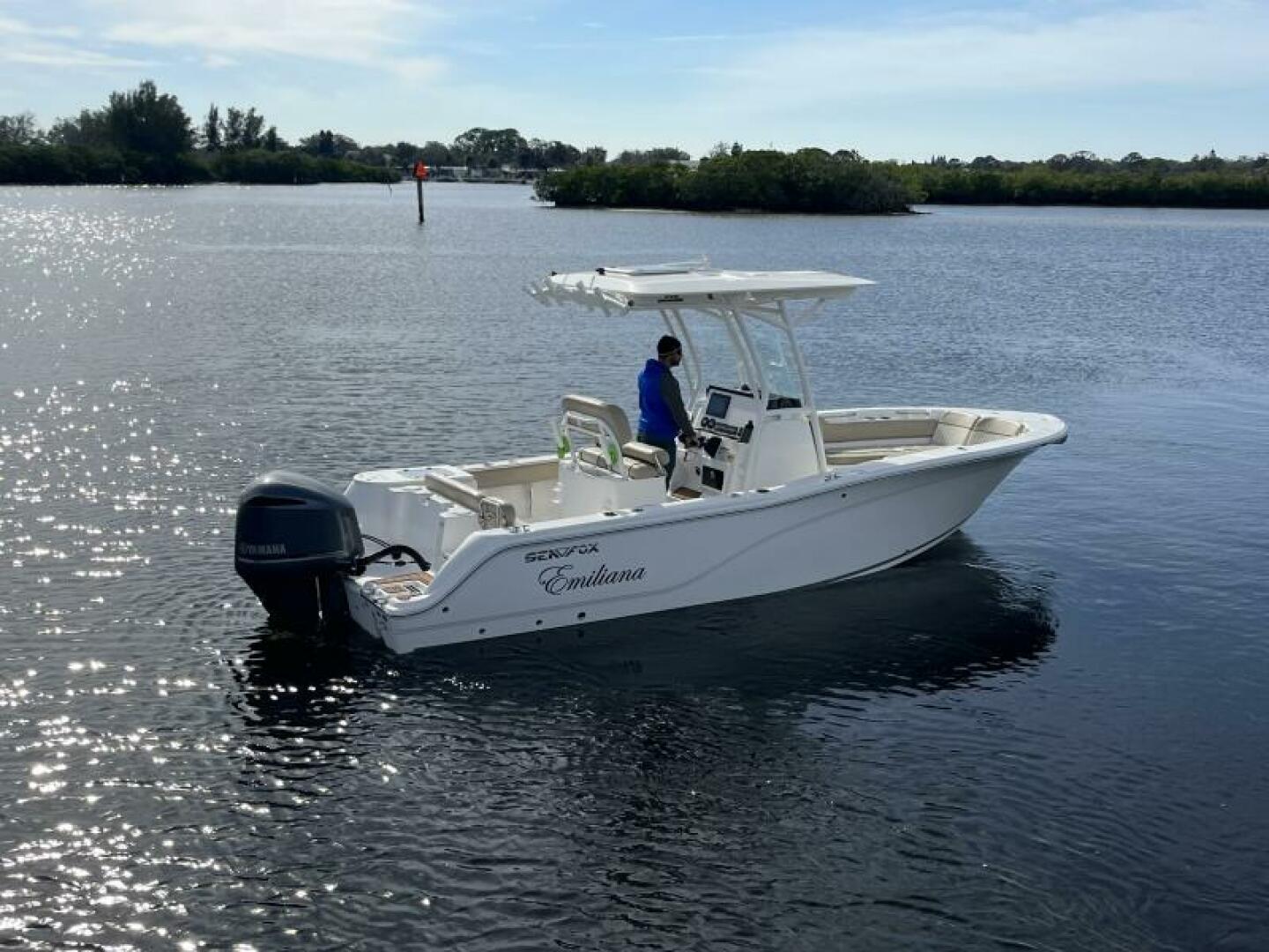 Slide: The Image of Sea Fox 248 Commander 2019 - 4754082
