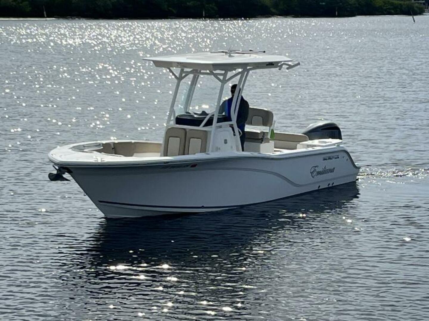Slide: The Image of Sea Fox 248 Commander 2019 - 4754087