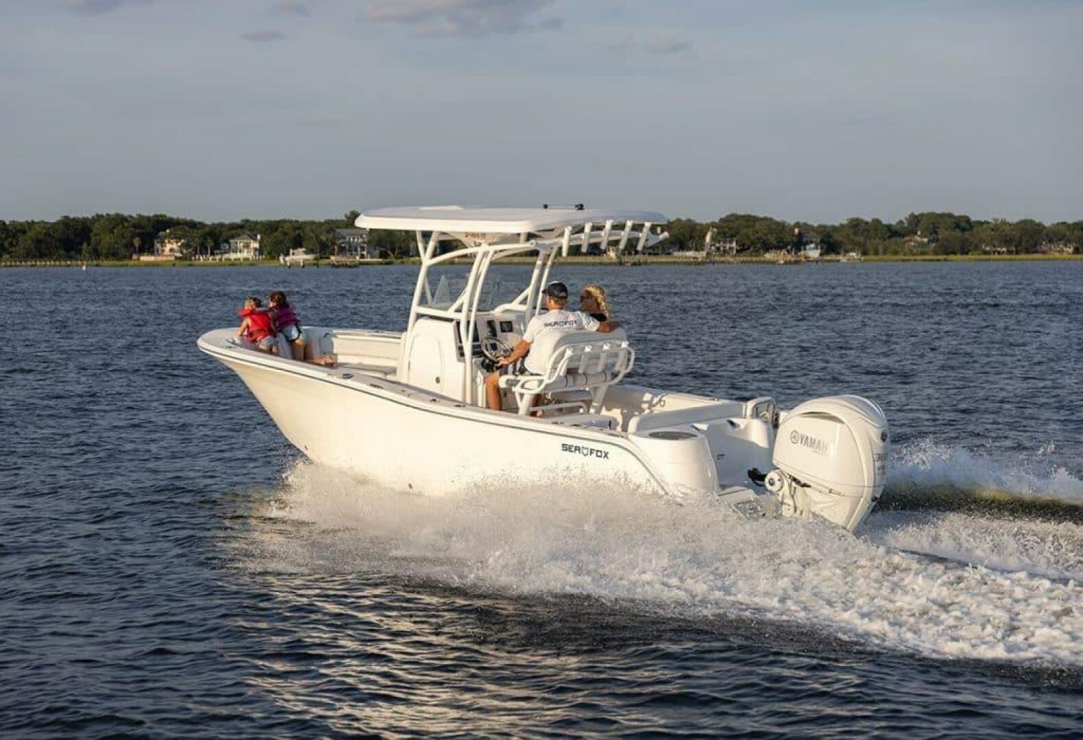 Slide: The Image of Sea Fox 248 Side Console 2025 - 5215985