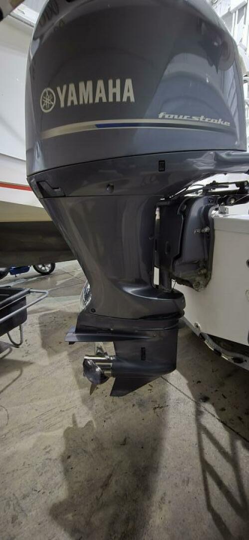 Slide: The Image of Sea Fox COMMANDER 2020 - 5148068