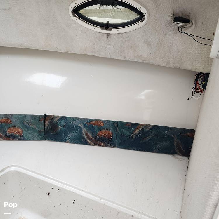 Slide: The Image of Sea Hunt Victory 225 2008 - 13744878