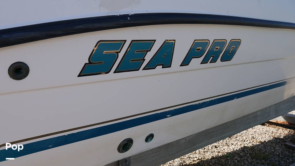 Slide: The Image of Sea Pro 200FF 2002 - 8273087