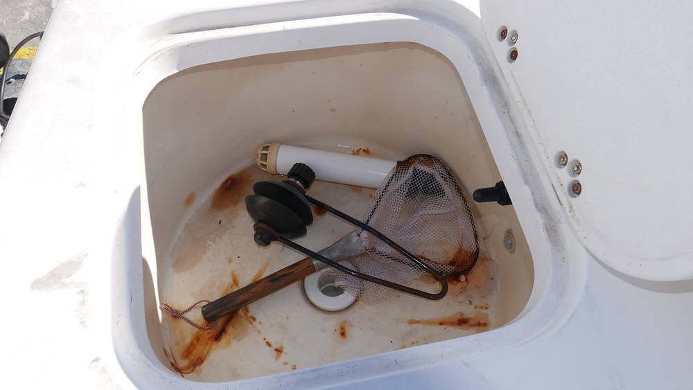 Slide: The Image of Sea Pro 200FF 2002 - 8273168