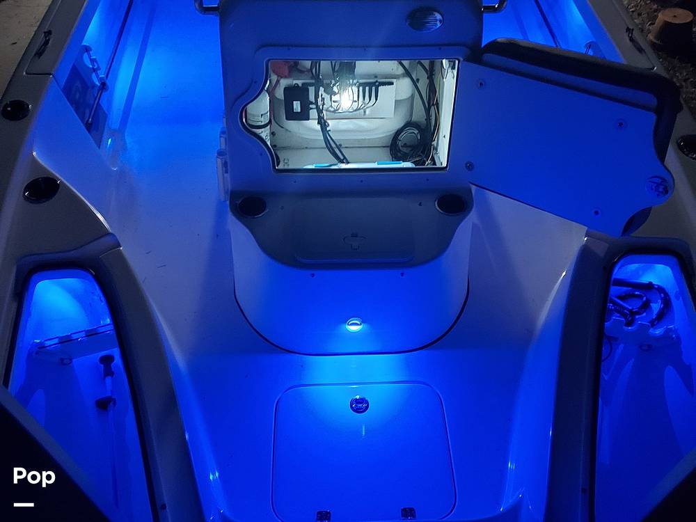 Slide: The Image of Sea Pro 208 DLX 2020 - 10880610