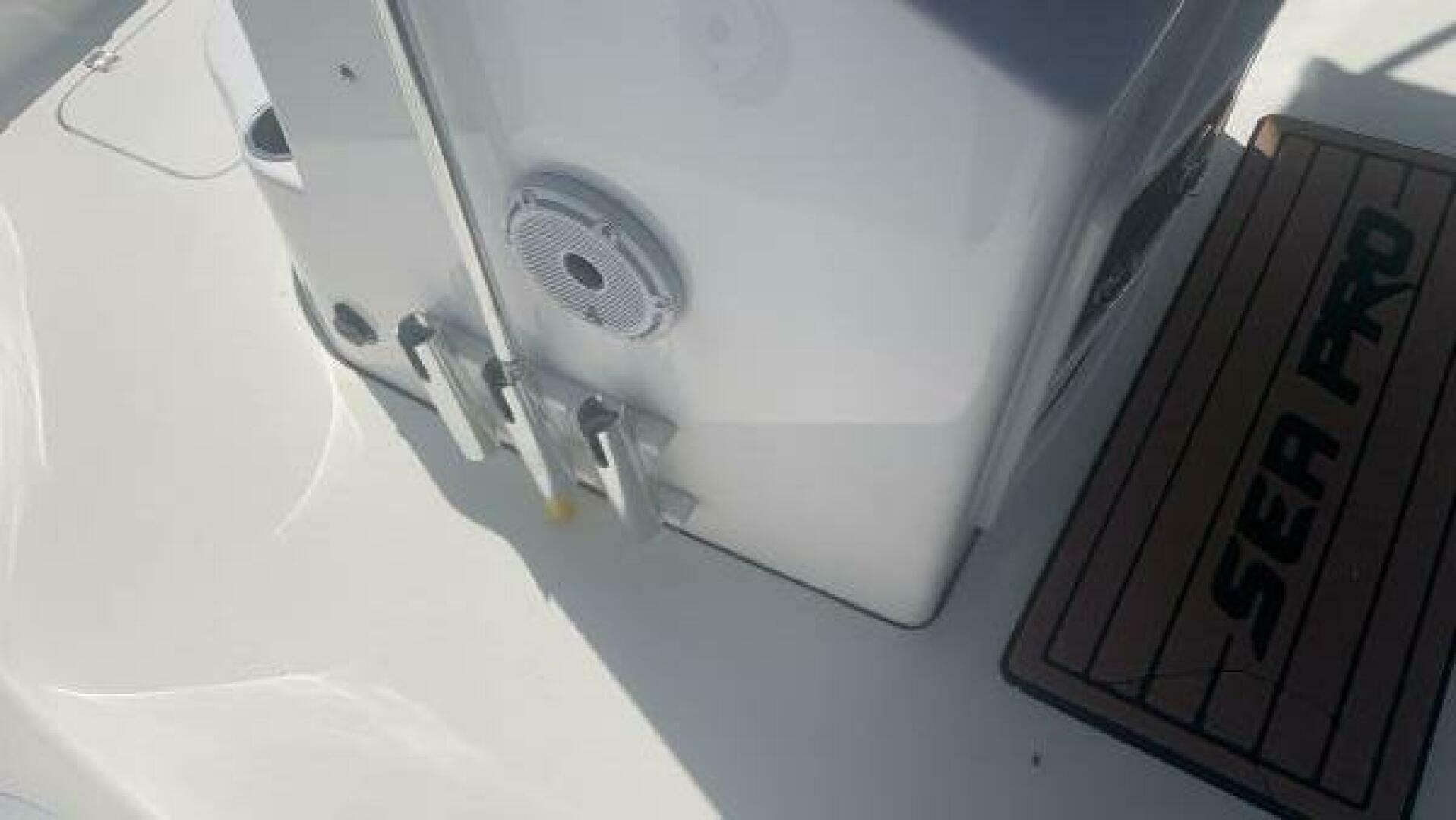 Slide: The Image of Sea Pro 228 DLX 2017 - 5251949