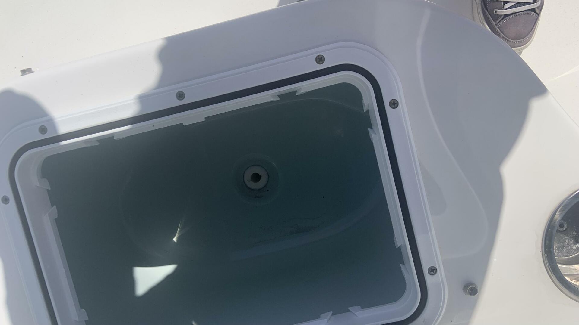 Slide: The Image of Sea Pro 228 DLX 2017 - 5251953