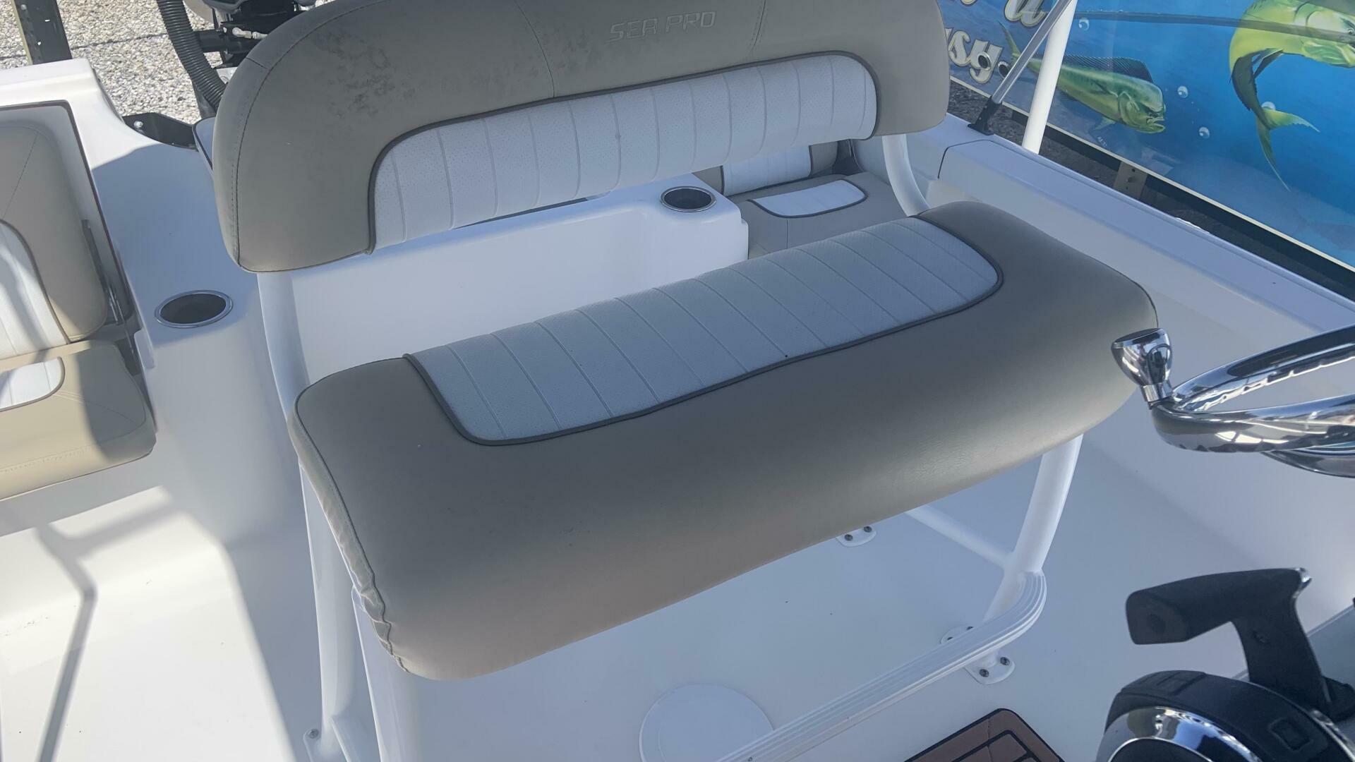 Slide: The Image of Sea Pro 228 DLX 2017 - 5251963