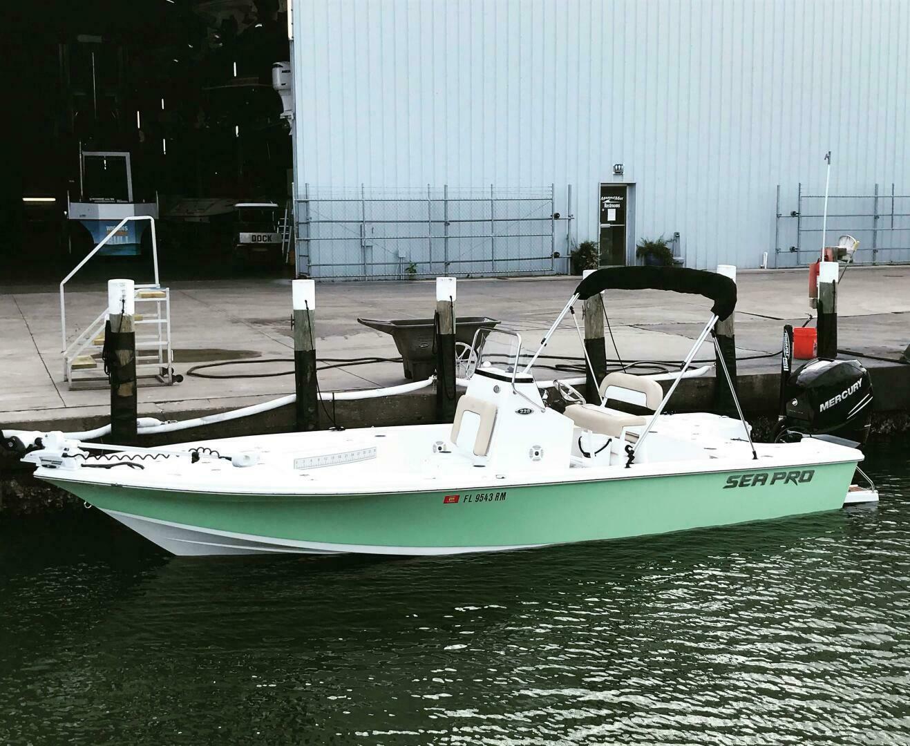 Slide: The Image of Sea Pro 228 DLX 2017 - 5251978