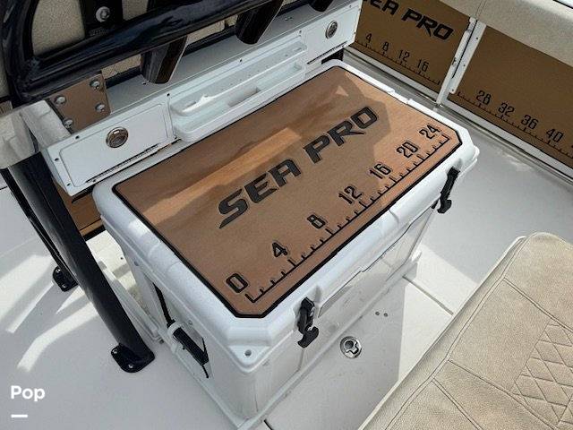 Slide: The Image of Sea Pro 239 2022 - 15856452