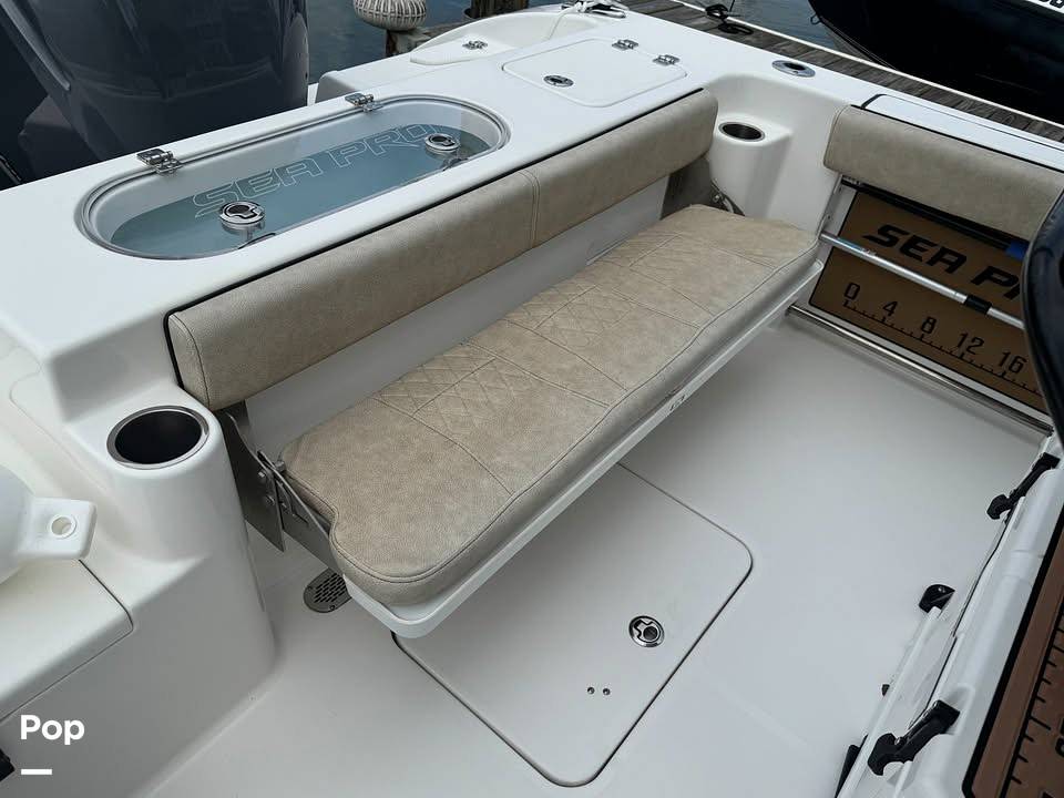 Slide: The Image of Sea Pro 239 2022 - 15856454