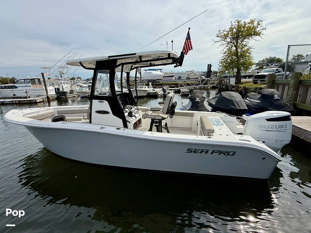 Slide: The Image of Sea Pro 239DV DLX 2021 - 15899018