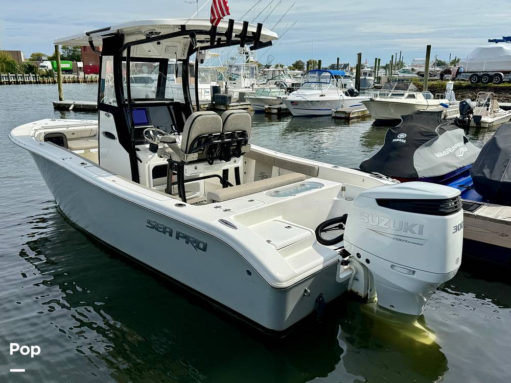 Slide: The Image of Sea Pro 239DV DLX 2021 - 15899021