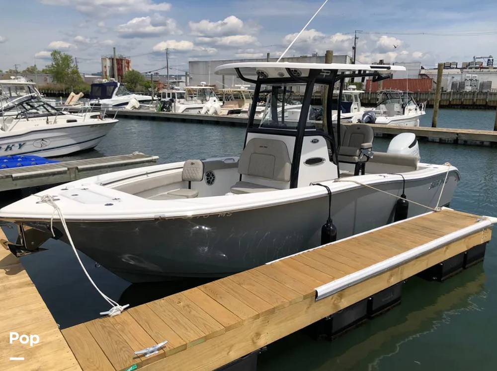 Slide: The Image of Sea Pro 239DV DLX 2021 - 15868408