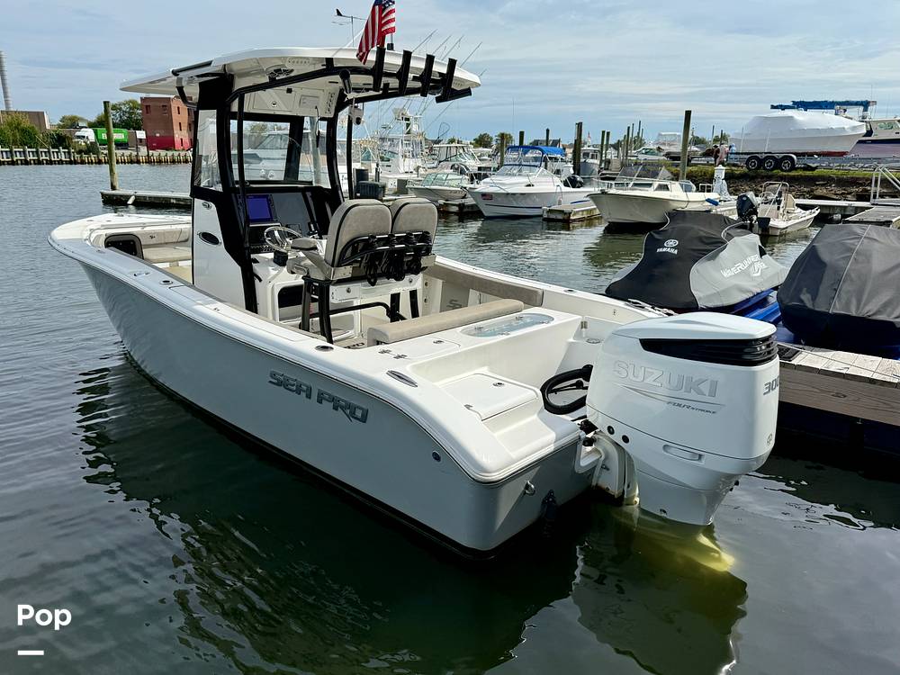 Slide: The Image of Sea Pro 239DV DLX 2021 - 15899017