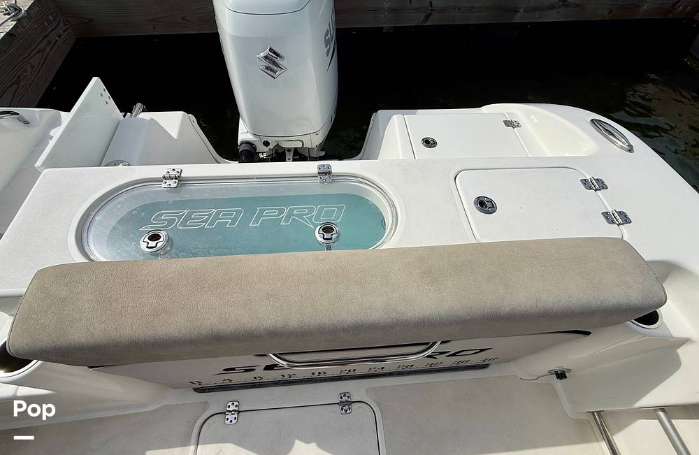 Slide: The Image of Sea Pro 239DV DLX 2021 - 15899019